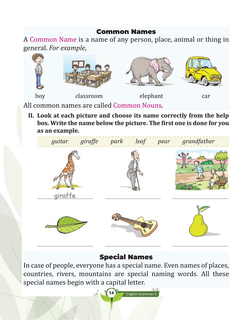 Page Image